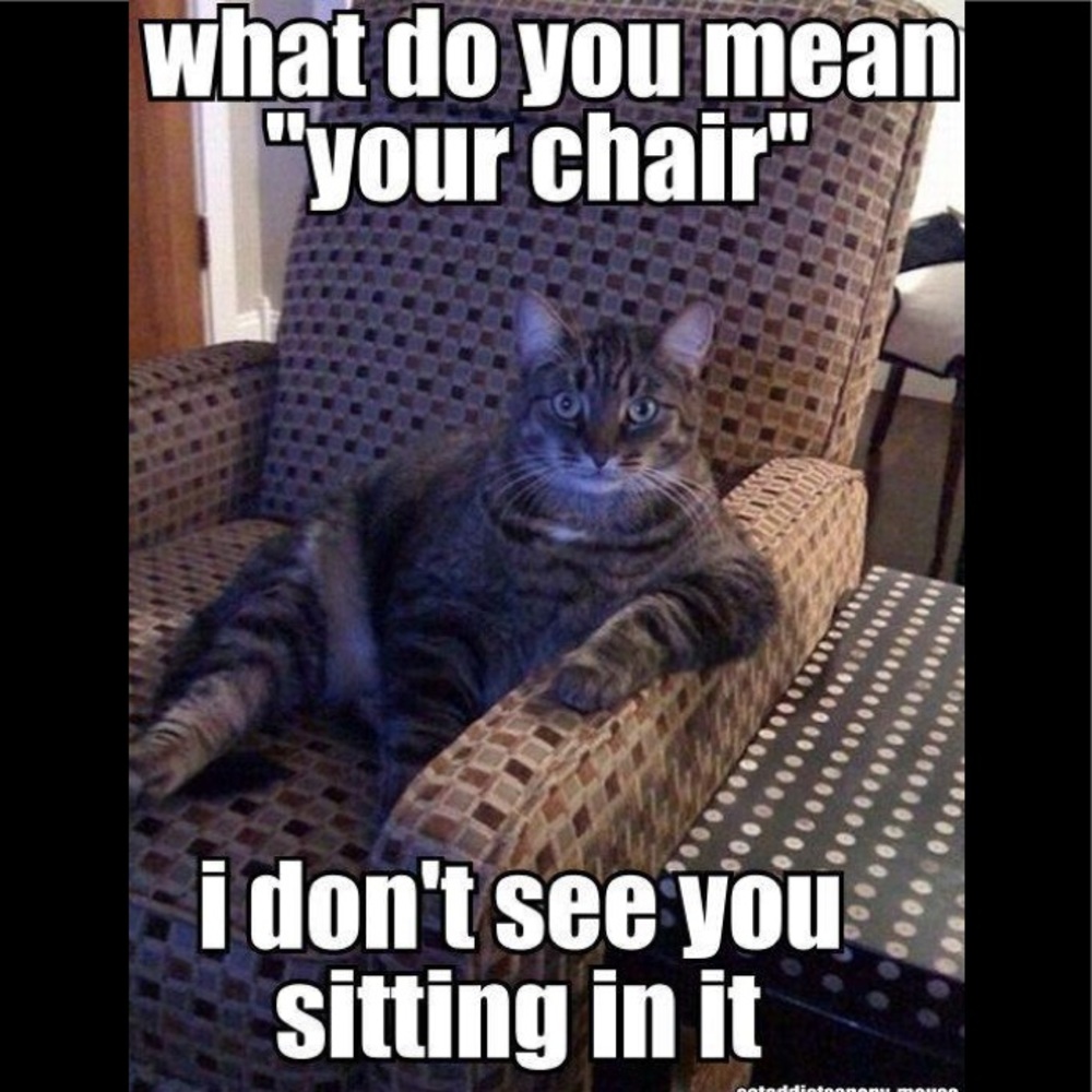 So funny!